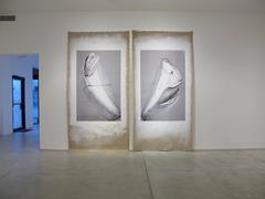 Forme d'arte nel meccanicismo XXl