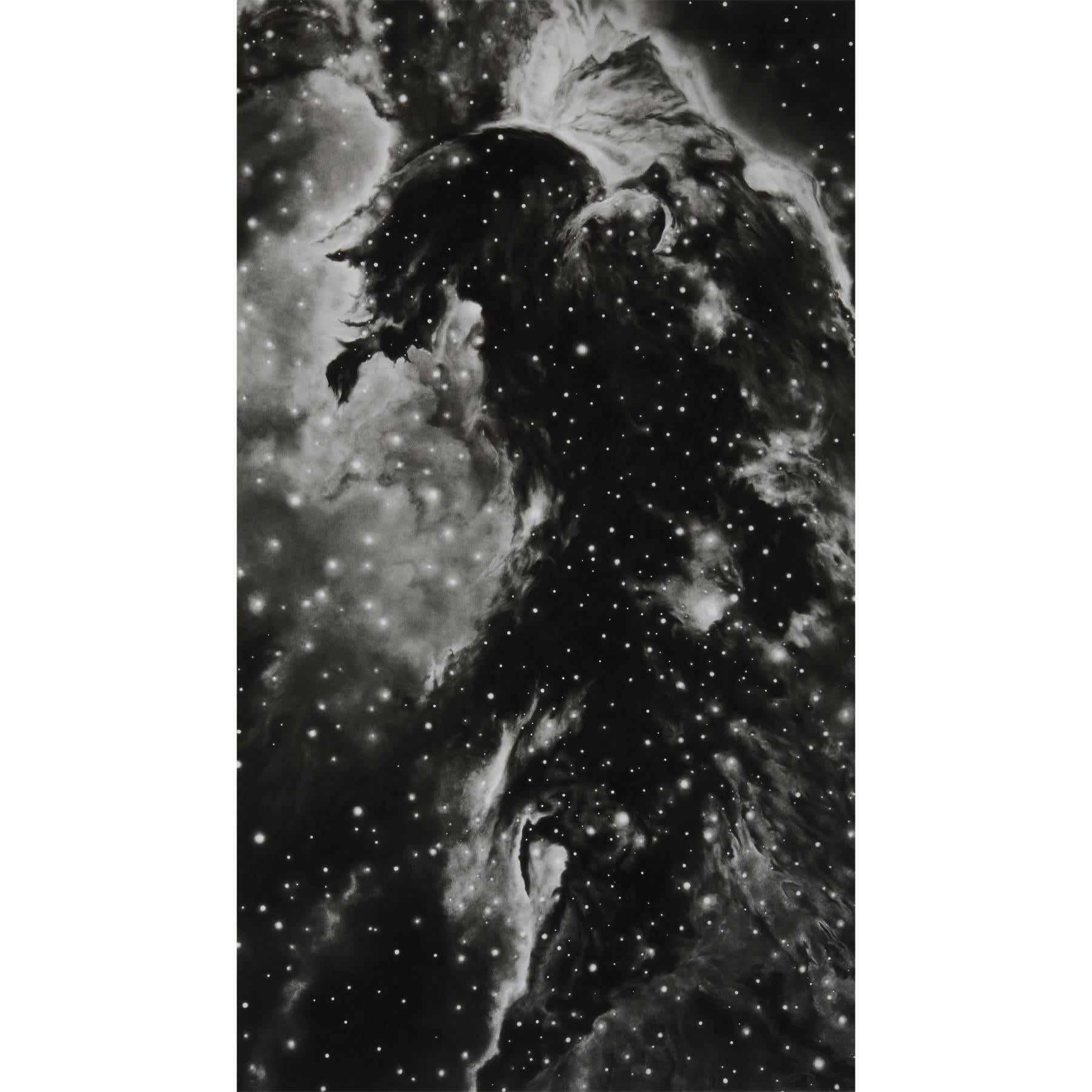 Robert Longo Landscape Print - Horsehead Nebula