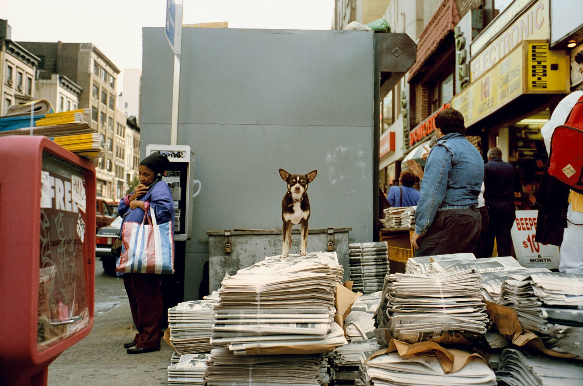 Jeff Mermelstein Color Photograph - New York City 1993