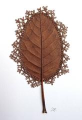 Adornment IX - Embroidery magnolia Leaf