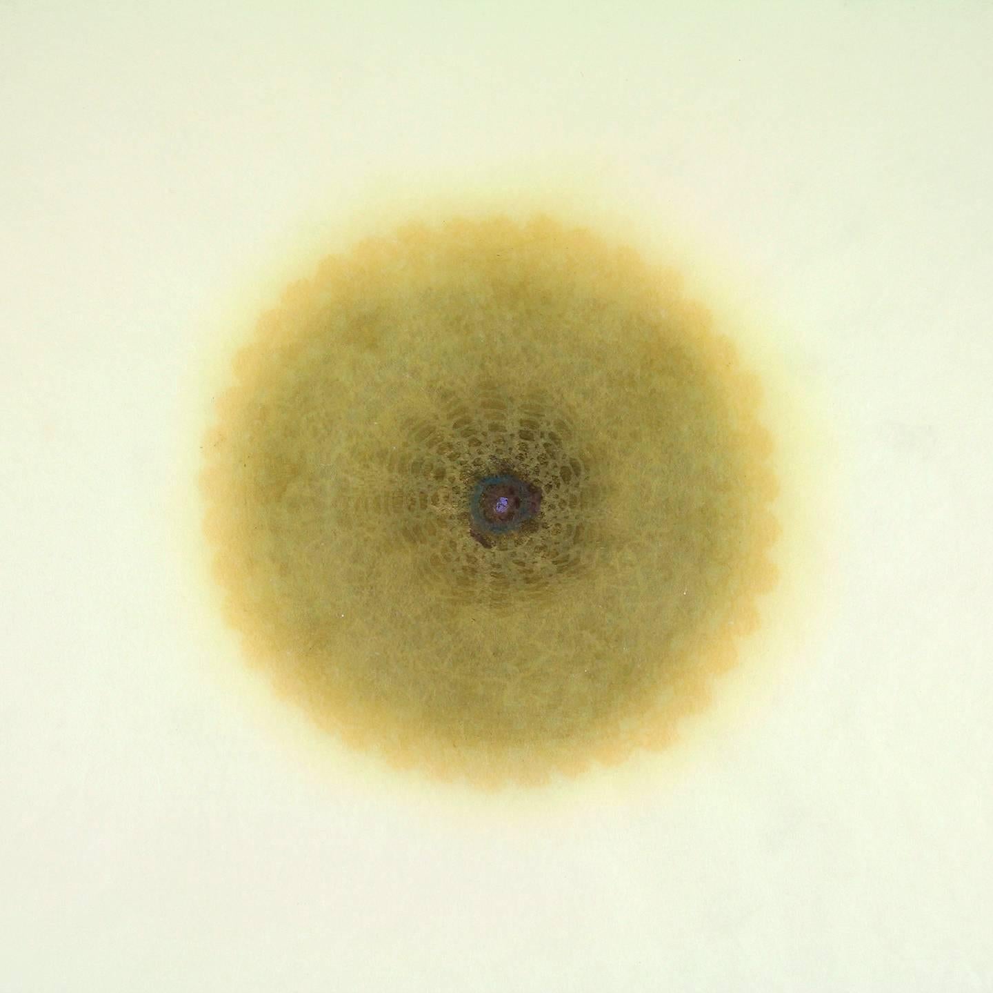 Revolution XX - stampa geometrica astratta gialla, delicata e intricata, tagliata al laser