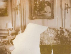 Collage de photos par transfert photo au ton sépiaough-coquelicot du Connecticut sur mylar of interior