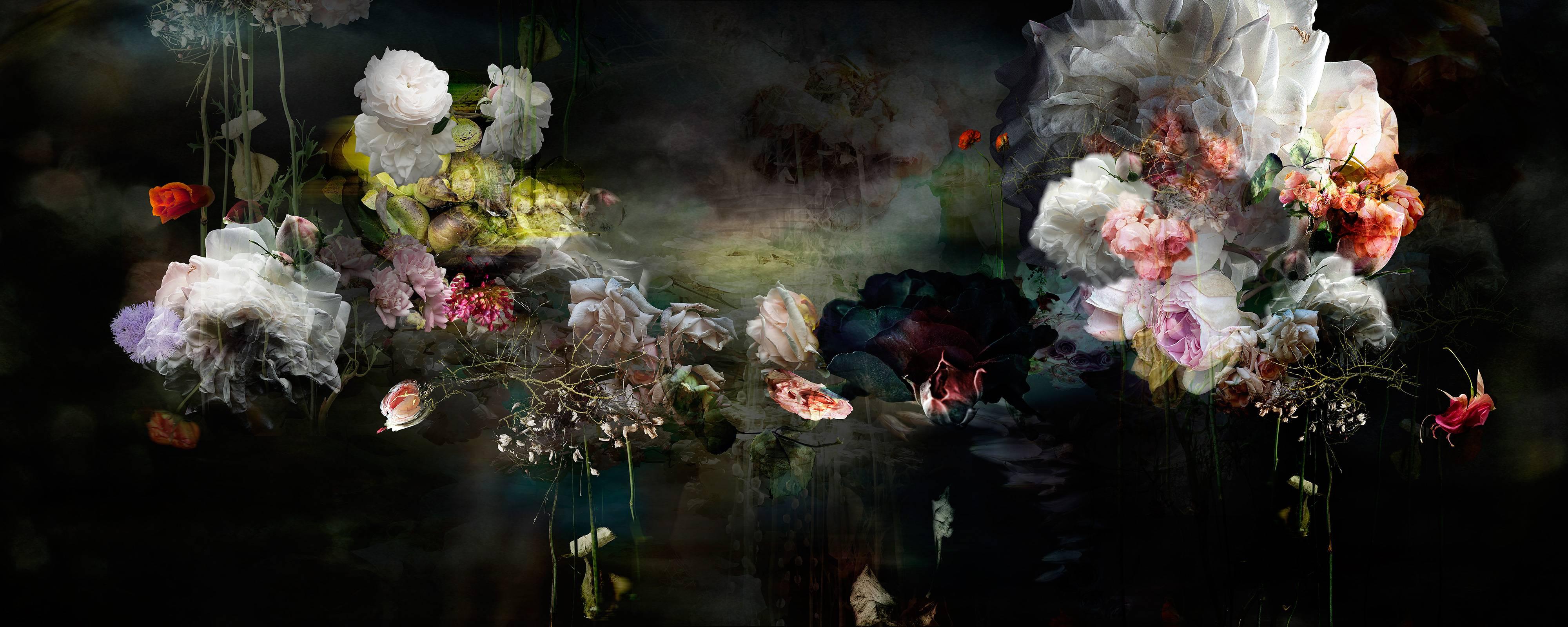 Isabelle Menin Still-Life Photograph – Song for dead heroes #1 Florale abstrakte Landschafts-Fotokomposition in dunkler Farbe