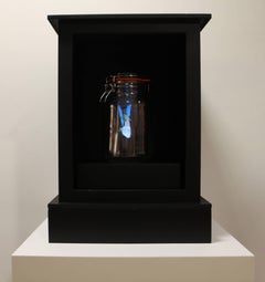 Hada azul - videoescultura de arte contemporáneo holográfica y caprichosa