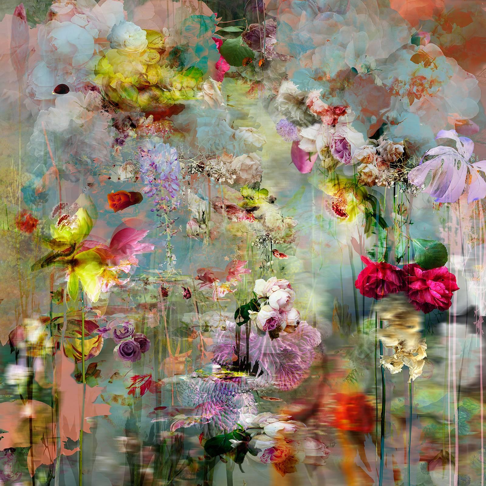 Isabelle Menin Still-Life Photograph – Path #2, mehrfarbige, abstrahierte Blumenfotokomposition