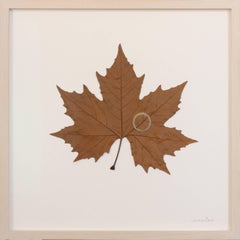 Heart II - embroidered leaf on paper