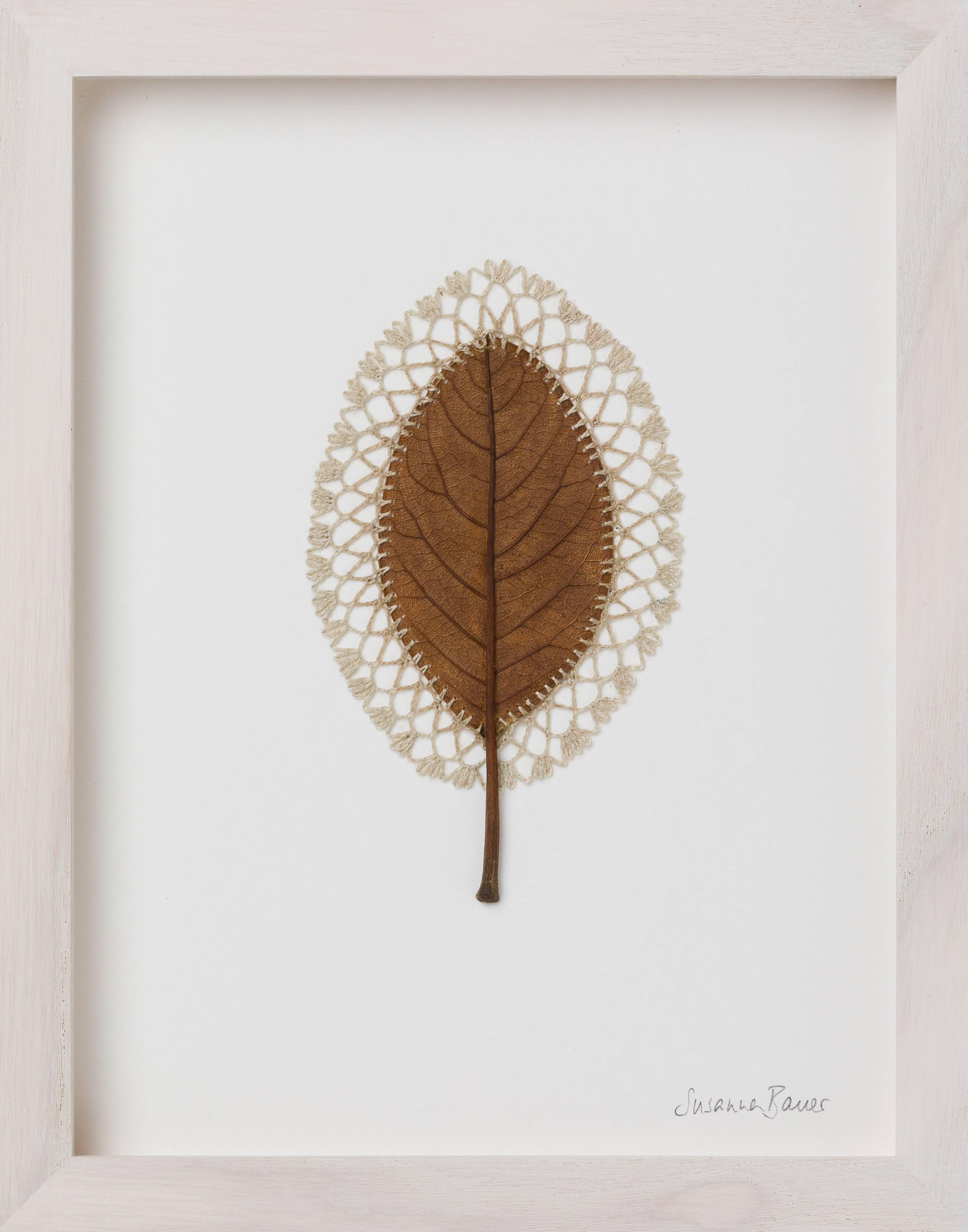 Lace II -embroidery flora dried leaf on paper - Mixed Media Art by Susanna Bauer