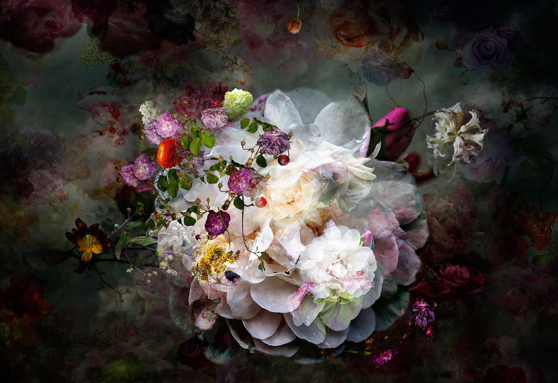 Isabelle Menin Still-Life Photograph - Solstice 11- dark still life floral landscape photograph with white and red rose