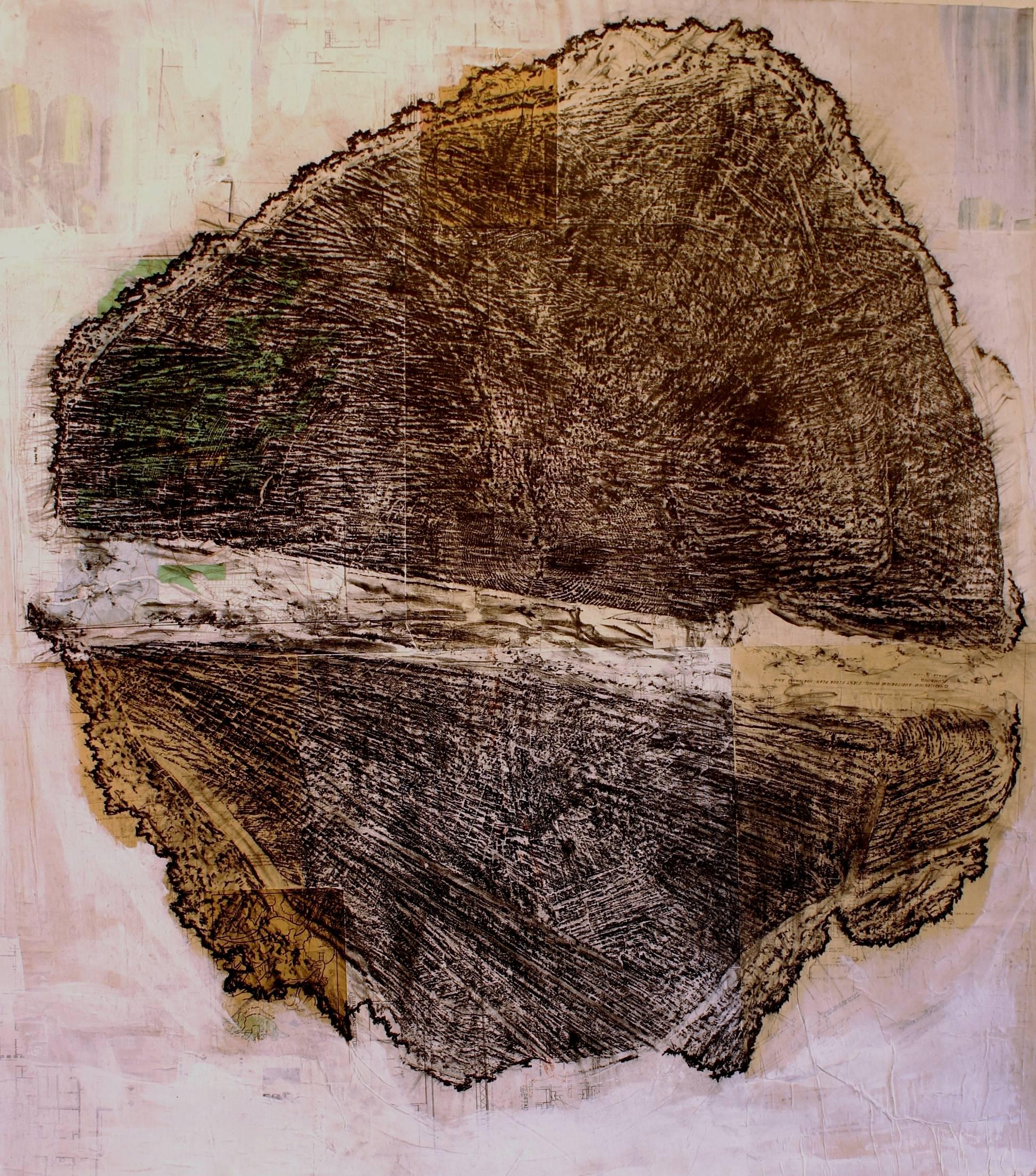 Untitled (Douglas Fir, estimated age 231 years)   - Mixed Media Art by Ryan Burns