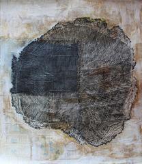 Untitled (Douglas Fir, estimated age 221 years)