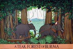 Original 1930s Empire Marketing Board Poster: A Teak Forest of Burma (Myanmar)