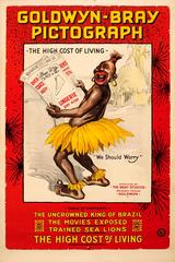 Used Original Goldwyn Bray Pictograph Animation Movie Poster: The High Cost Of Living