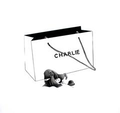 Charlie Bag, White