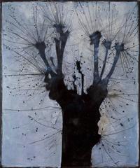 Winter Trees 10