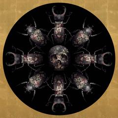 ISHTAR Black/Gold Print with skulls scarab and beetles. 2