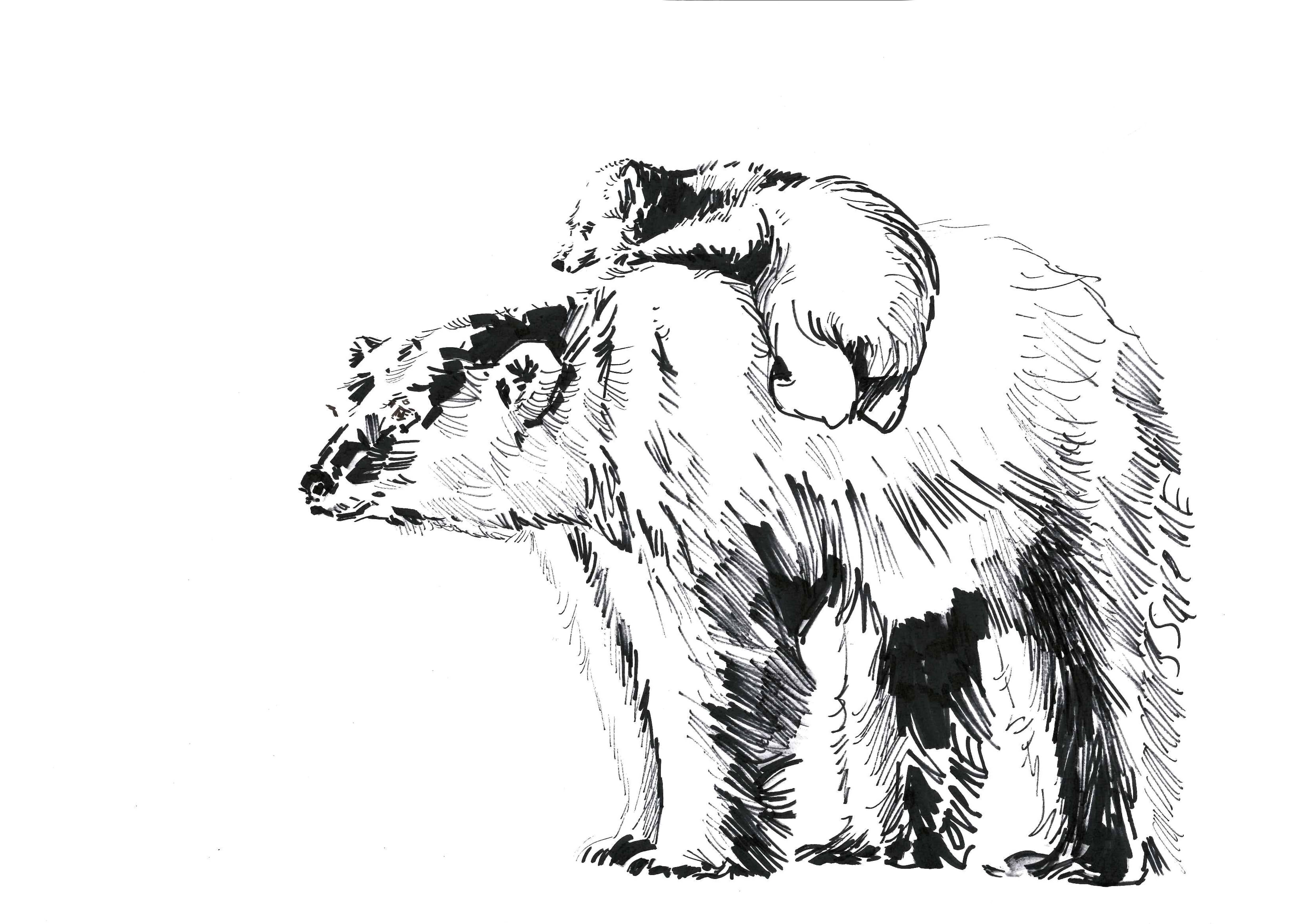 Metin Salih Animal Art - Love me Save Me, POLAR BEAR; portion of proceeds benefit WWF, signed & dedicated