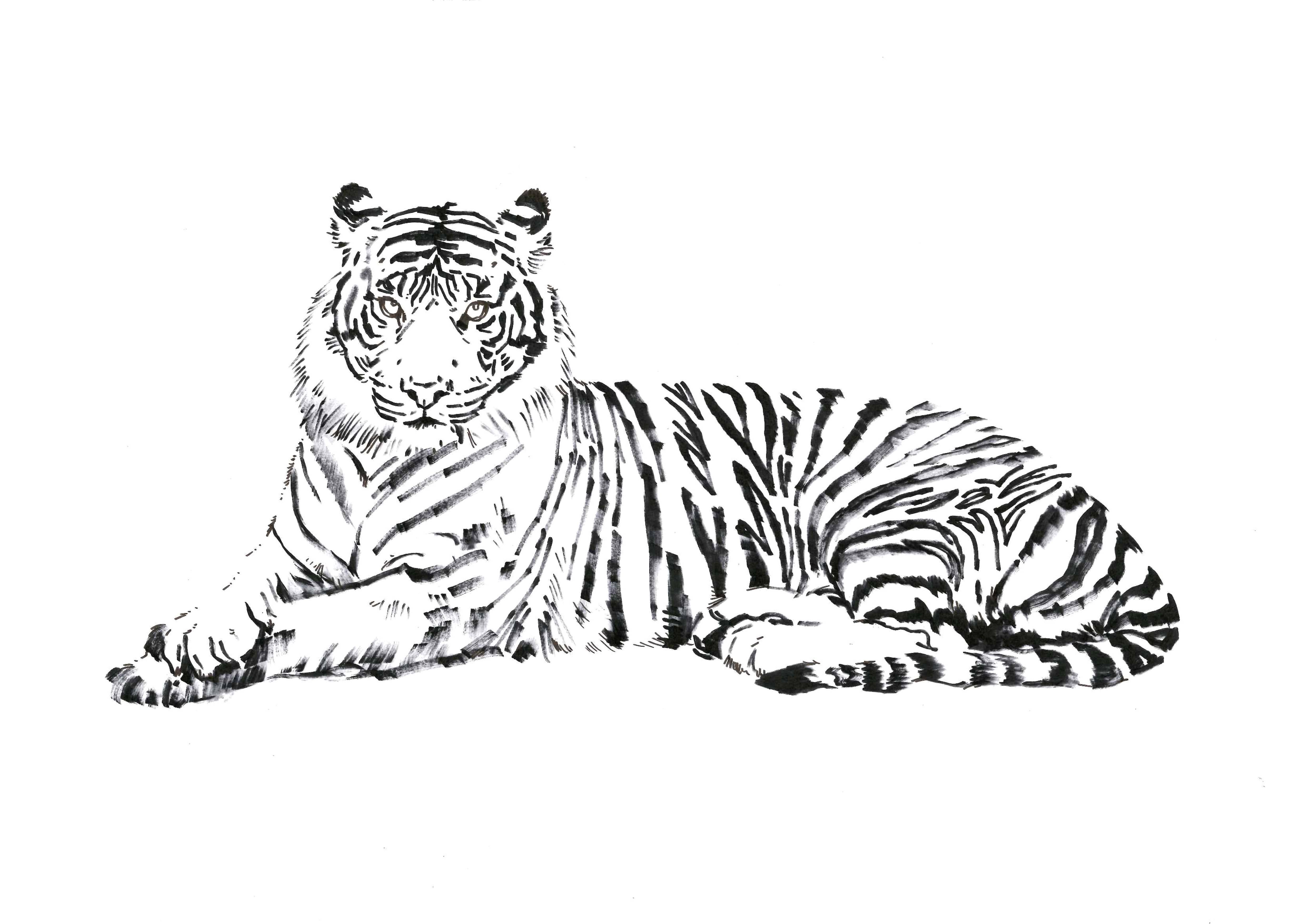 Metin Salih Animal Art - Love Me Save Me Tiger, portion of proceeds benefit WWF; signed and dedicated