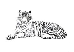 Love Me Save Me Tiger, portion of proceeds benefit WWF; signed and dedicated