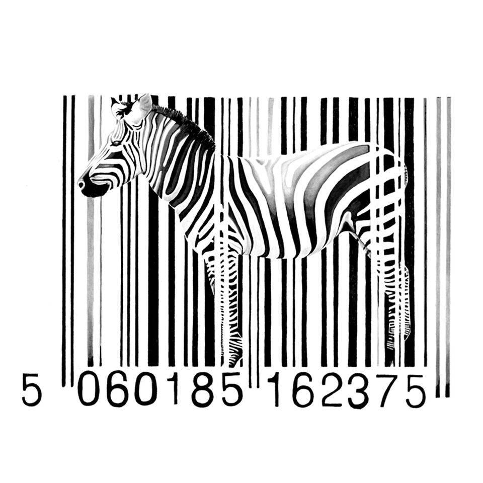 Day-Z Animal Print - Zebra 