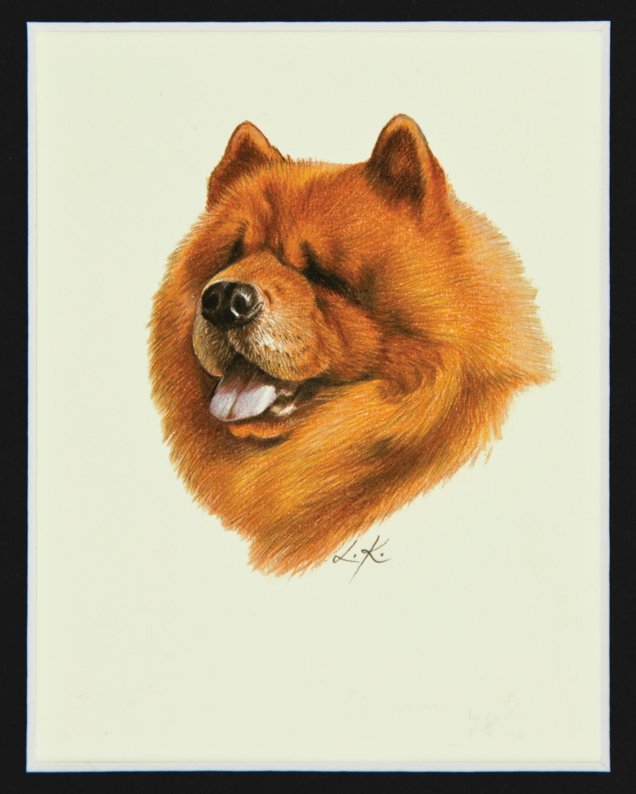 Original Chow Chow Illustration - Painting by Libuse Knotek