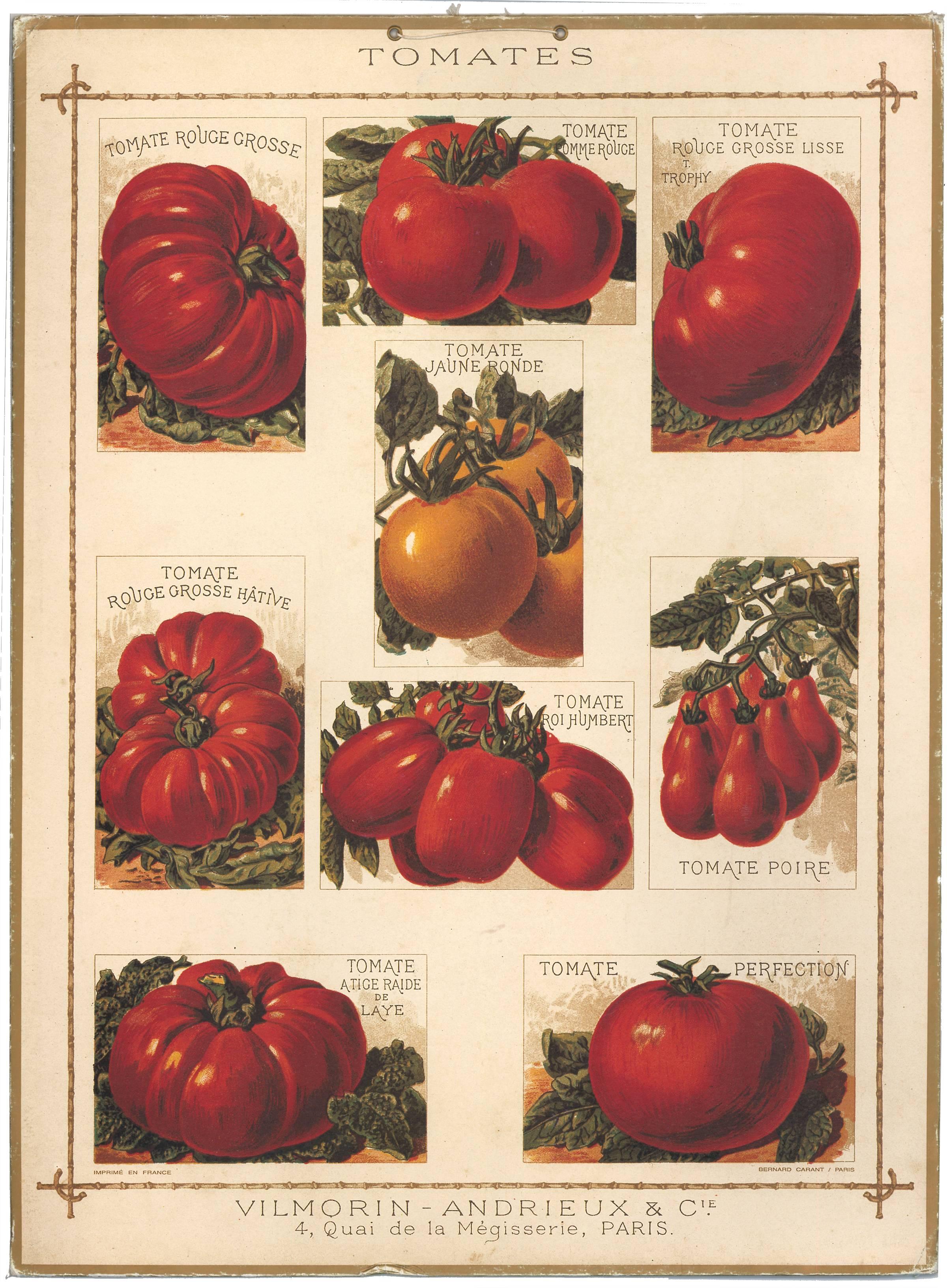 French Tomato Poster - Art by Unknown