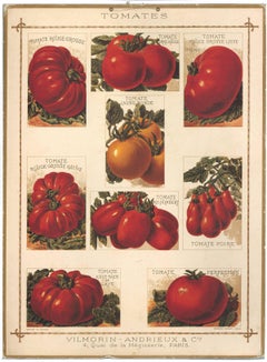 Vintage French Tomato Poster