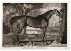 Pair of Race Horses by George Stubbs, 1777