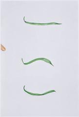 BALDESSARI. Choosing: Green Beans 6