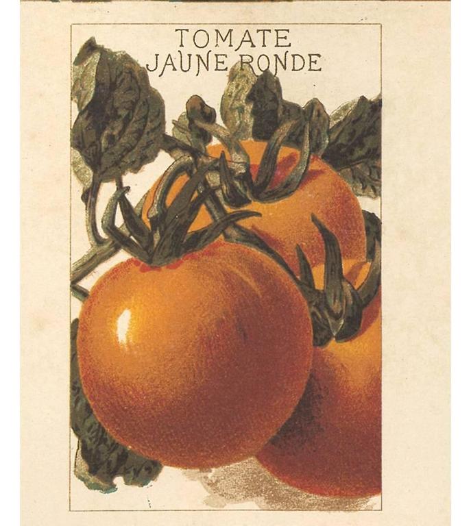 Unknown French Tomato Poster For Sale at 1stdibs