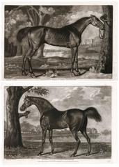 Pair of Race Horses by George Stubbs, 1777