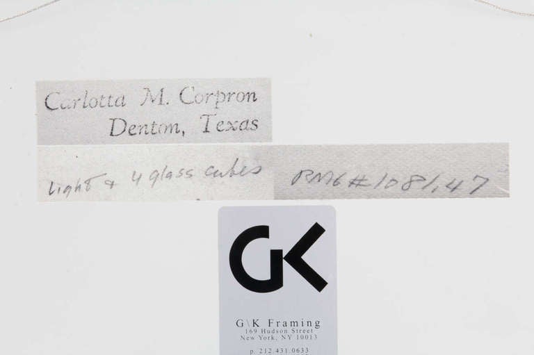CARLOTTA CORPRON  (1901-1988)  USA

Light Cubes   c. 1947

Silver gelatin print, patinated steel frame

Signed: Carlotta M. Corpron, Denton, Texas, RM6 #1081.47 (stamped on back)

Framed size: H: 13 ¾” x W: 16 ¾”

Corpron became a teacher