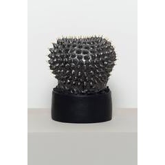 Untitled 10