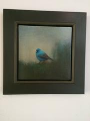 Indigo Bunting