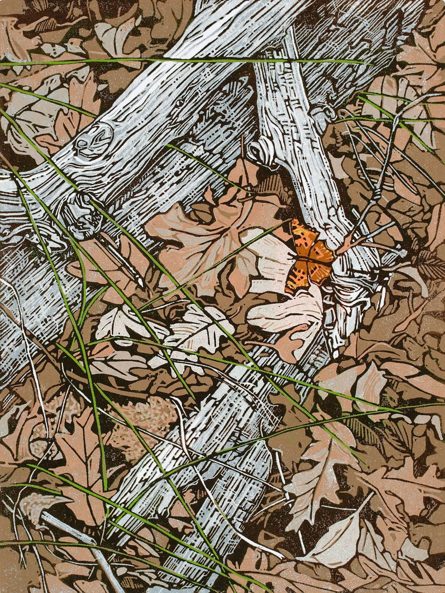 Sherrie York Landscape Print - Decay, Comma, 7/15