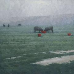 Red Buckets and Wet Fields