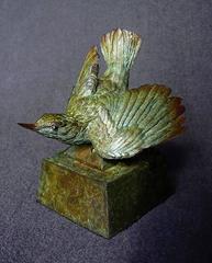 Whitebreasted Nuthatch