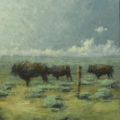 Bison and the Devil's Rope