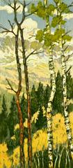 solstice gnarled aspen summer