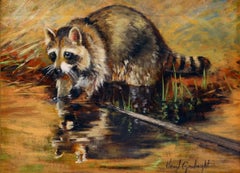 Morning Mission (raccoon, flora and fauna, water) 