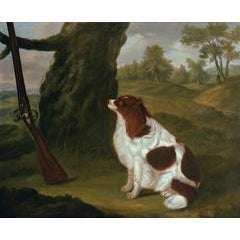 A liver and white spring spaniel sitting by a tree against which leans a flintlo 1