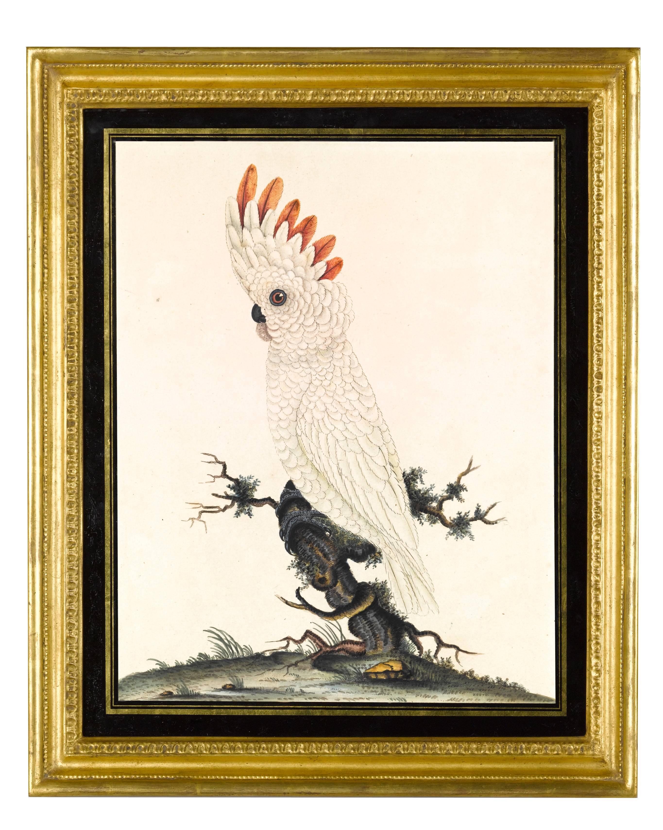 18th Century and Earlier Still-life Paintings - 50 For Sale at 1stdibs