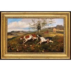 A Man and his dogs shooting 5