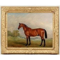 A bay thoroughbred horse in a landscape 2