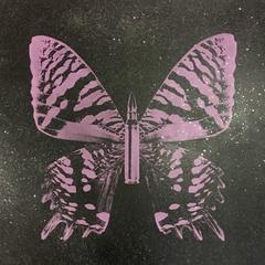Butterfly 11