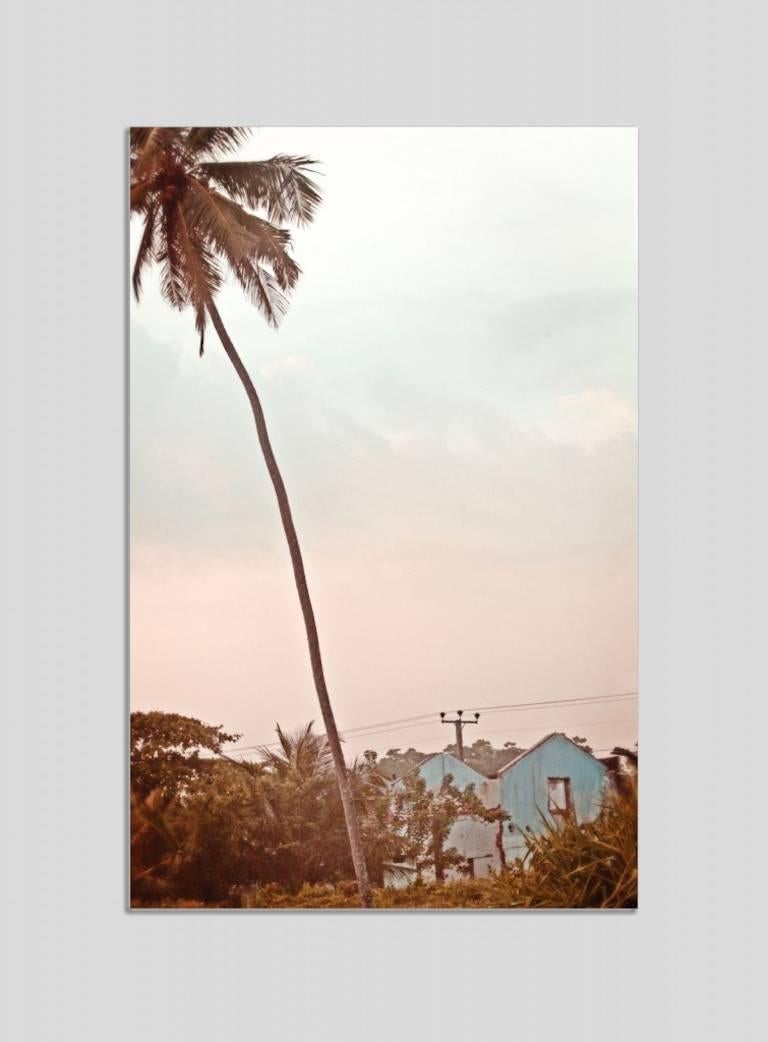 Stuart Möller Landscape Photograph - 'Palm Blue House' Sri Lanka (Chromaluxe Aluminium Print)