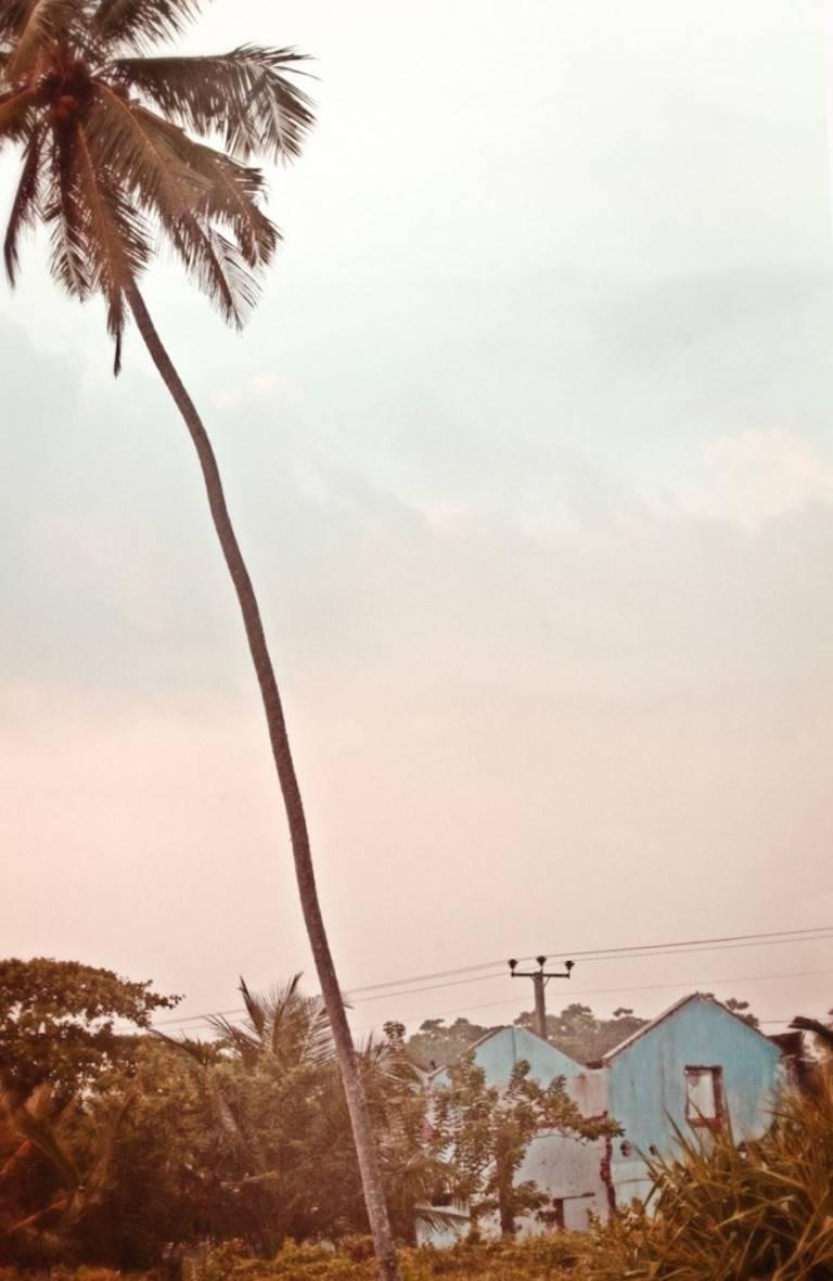 'Palm Blue House' Sri Lanka (Chromaluxe Aluminium Print) - Photograph by Stuart Möller