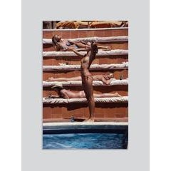 'Sunbathing On Capri' (Chromaluxe Aluminium Print) 4