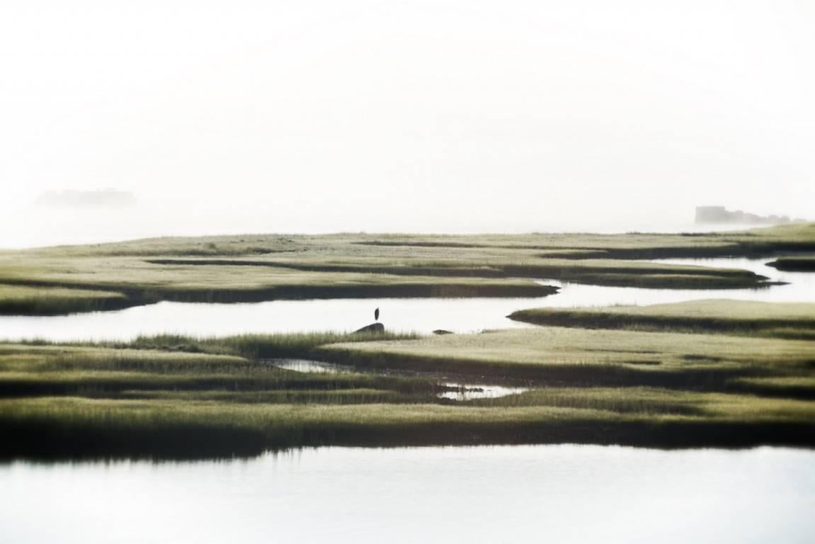 Stuart Möller Color Photograph - 'Massachusetts Mist' (Archival Pigment Print)