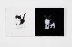 2 (Cat dyptich)