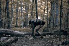 Love Seed (Color Figurative Photography) 3